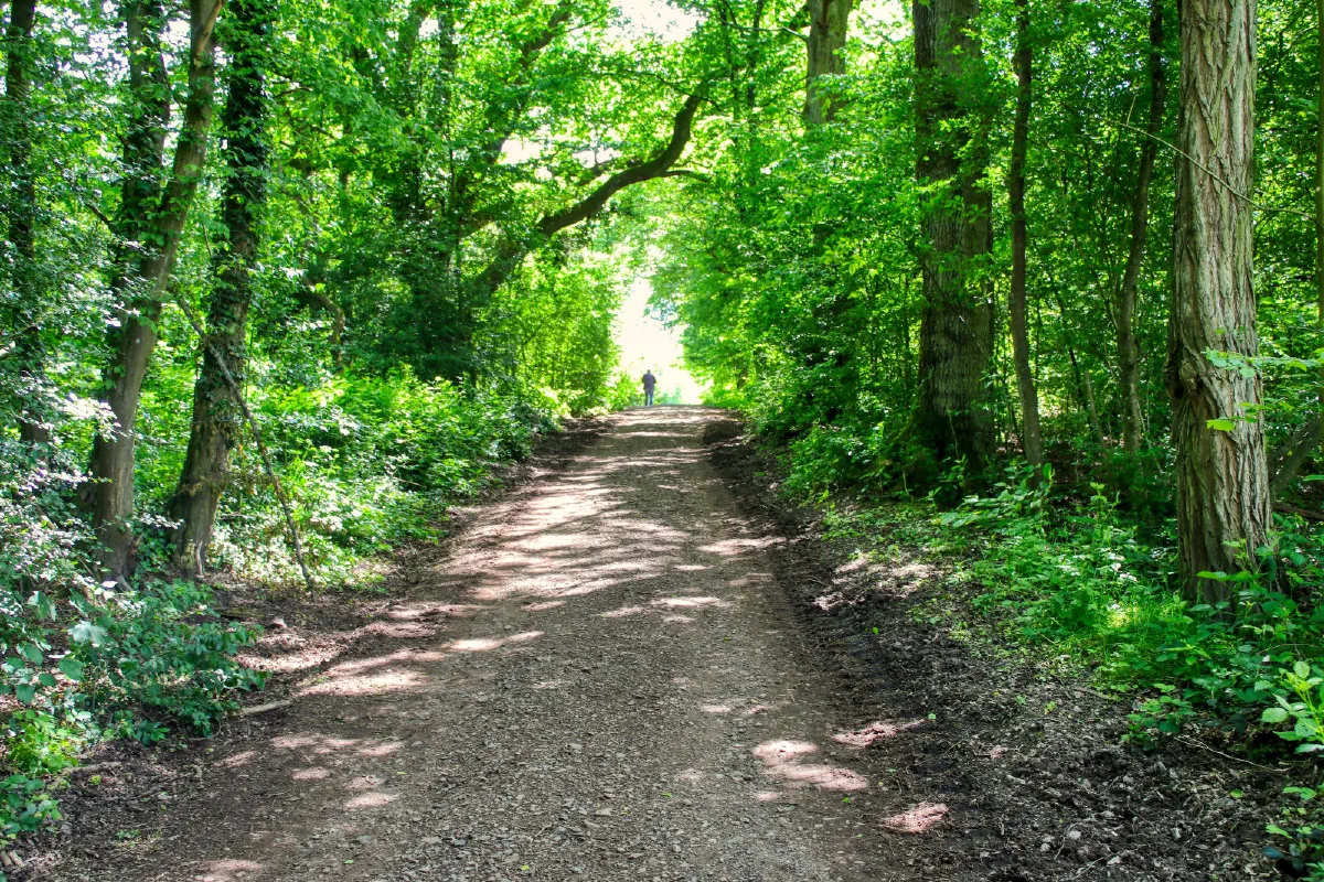 Der Weg zum 30 zigsten Lebensjahr